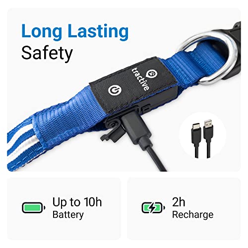 Tractive Gps Pet Tracker With Led Light Up Dog Collar - Waterproof, Gps Location & Smart Activity Tracker, Unlimited Range (Blue, Small) #TOP7