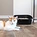 Large Open-Top Litter Box—Simple Design, Easy to Clean, and Lightweight, Suitable for All Life Stages.