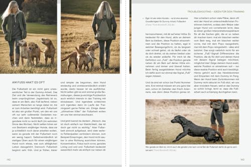 Dummy-Training - mehr als Apportieren: Team werden - Herausforderungen meistern - Leichtigkeit finden