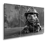 casque shark spartan Fabrication 100 % allemande Impression sur toile Casque, char, Courage - La tortue la plus courageuse de l\'unité. Format : 120 x 80 cm (3 pièces) Effet : noir et blanc XXL Impression d\'art sur châssis / Décoration murale