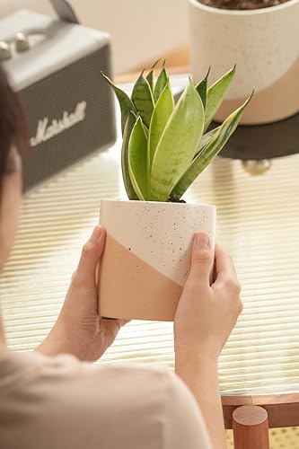 Ceramic-Pots-for-Indoor-Plants-2-Set-Flower-Pots-5443-Inch-with-Drainage-Double-Color-Glazed-Speckled-White-Terracotta-Bottom-Ceramic-Planter-Idea-for-Plant-Lovers Ceramic Pots for Indoor Plants 2 Set Flower Pots 5443 Inch with Drainage Double Color Glazed Speckled White Terracotta Bottom Ceramic Planter Idea for Plant Lovers