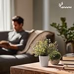 4 Stück Künstliche Pflanzen, Mini Kunstpflanze für Zimmer Deko, Künstliche Pflanzen Plastik für Schlafzimmer Badezimmer Küchen Zuhause Innen Deko (007, 4 Stück) – Bild 4