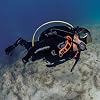 SCUBAPRO S-Tek Donut Wing for Technical Scuba Diving, Includes Inflator Hose and K-Style BPI