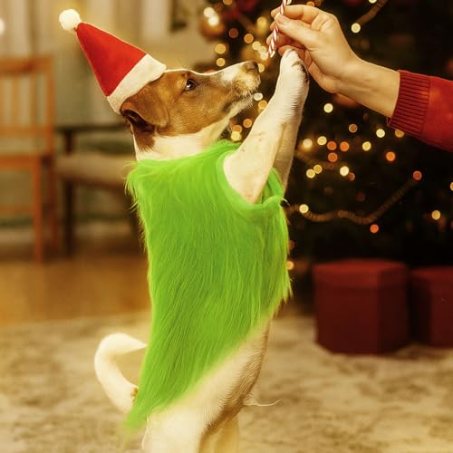 Disfraz navideño verde para perros pequeños con gorro rojo miniatura 4