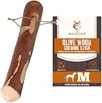 Wildfang® Olive Wood Chewing Sticks for Dogs, M – Tough Chew Toys for Aggressive Chewers, Puppy Chew Toys for Teething, Training for Chewing Muscles, Olive Wood Stick for Dogs 15–25 kg (Pack of 1)