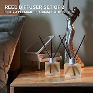 Brakula reed diffuser black vanilla scented home fragrance bathroom diffuser with 16 reed sticks essential oil diffuser for living room guest rooms 34oz100ml x 2  urban country home decor