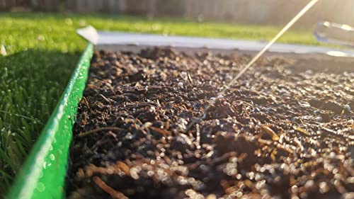 WiesiFix | 3in1 Power Rasenpflaster für Urinflecken in der Wiese | schnellkeimend | Rasennachsaat | Fleckenentferner | Selbstnachanbauset | Hund | tierfreundlich | Gartenpflege |