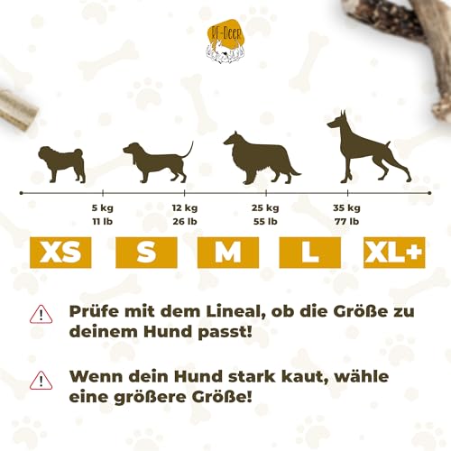 RF-Deer Hundesnack Rothirsch Geweih Kausnack - XXL Hard Plus, Hirschgeweih für Hunde, 100% Natürlicher, Kauspielzeug Hund, Hundespielzeug Kauknochen für Genuss und Zahnpflege - 1 Stück