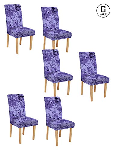 Image of Cortina Polyester Stretchable, Removable & Washable Chair Elastic Chair Cover (Multicolour) - Pack of 6 Pieces