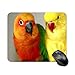 Produktbild Paar vogel schöne schöne vogel maus pad schreibtisch computer zubehör board dekor bürobedarf