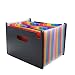 Expanding File Folder/24 Pockets A4 Accordion File Organizer/Multicolor Portable Expanding Wallets/Large Capacity Plastic Stand Bag with Colored Tab for Business/Office/Study