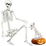 5.9Ft Halloween Life Size Skeleton with Cat for Halloween Party Decor | Full Size Skeleton Posable Skeleton with Movable Joints for Haunted House Prop, Spooky Graveyard Decoration