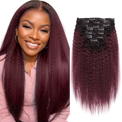 Sassina Raw Unprocessed Remi Hair Extensions Human Hair Clip in Afro Kinky Straight Clip in Extensions for Black Women Double Wefts Natural Black to Dark Wine 120g per lot with 17 Clips TN99J 12 Inch