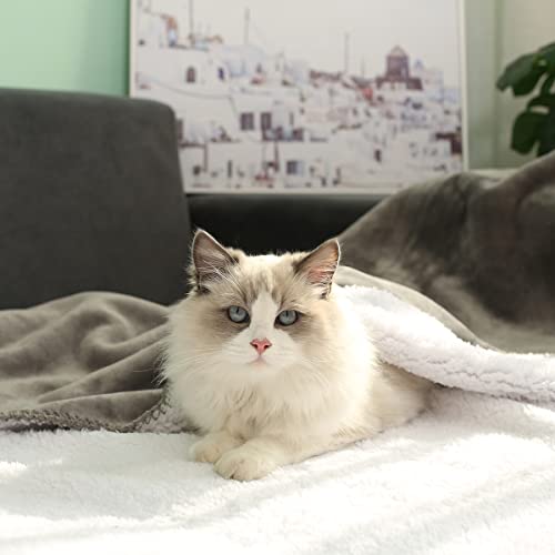 Softhug Dog Blanket Waterproof Pet Blanket For Bed Couch Sofa Car, Super Soft And Warm Puppy Blanket For Dogs Puppies Cats, Fleece Sherpa Throw Furniture Protector 50" X60" Inches #TOP6