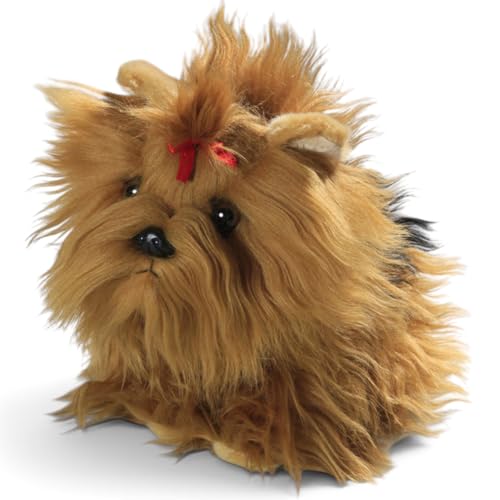 Imagen de Carl Dick Perro Yorkshire Terrier