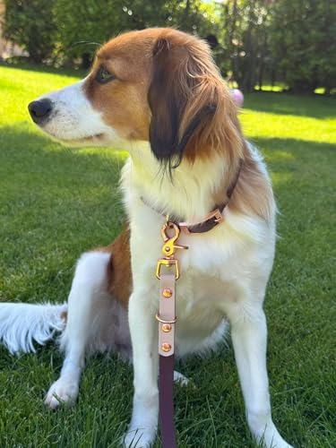 Original Biothane® Hundeleine 2m - Verstellbar, Wasserfest & Robust, mittel-große und kleine Hunde, Scherenkarabiner Bruchlast 160 kg (Braun/Creme/Rosegold)