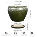Ceramicfor 6 Inch Plant Pot - Ceramic Planter Pot with Drainage Hole and Saucer, Glaze Succulent Pot Modern Round Flower Pot for Indoor Plants, Dark Green
