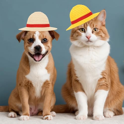 Sombrero de paja para mascotas para fiesta Halloween miniatura 7