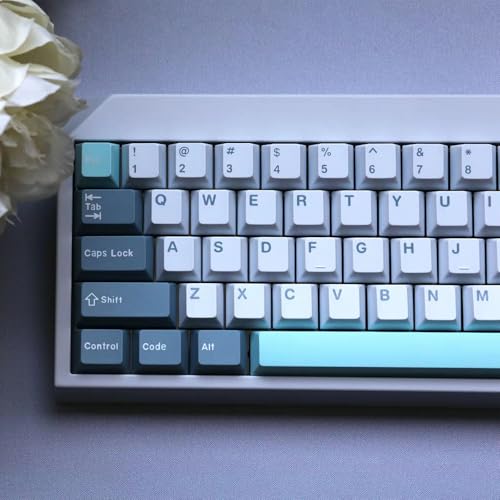 Touches Cherry Shoko en double injection pour switchs MX et Gateron