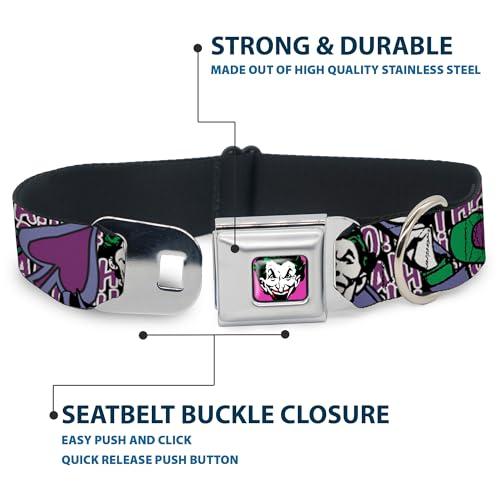 Collier de chien Buckle Down Joker Medium pour éviter les ouvertures de boucle