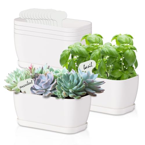 Oliz 6 Set Window Herb Planter Box Rectangular, White Plastic Planters with Multiple Drainage Holes and Trays,Indoor Succulent Cactus Mint Flower Pot for Windowsill, Garden Balcony