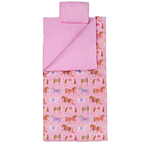 Wildkin Sleeping Bag for Toddler Boys and Girls, Includes Pillow and Stuff Sack