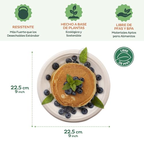 Consejos para Comprar Platos de carton favoritos de las personas. 12 Consejos para Comprar Platos de carton favoritos de las personas. 8