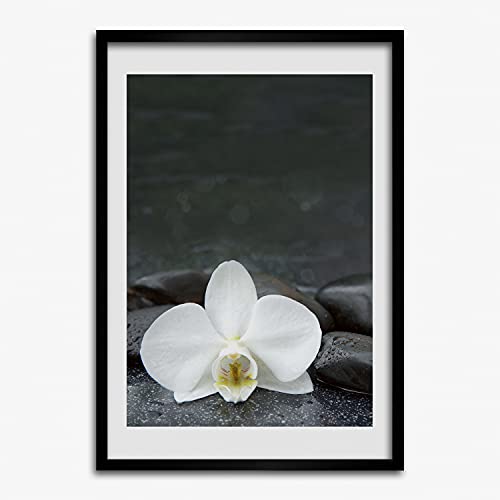Peinture photo affiche pierres d'orchidées cadre bois 50x70 cm