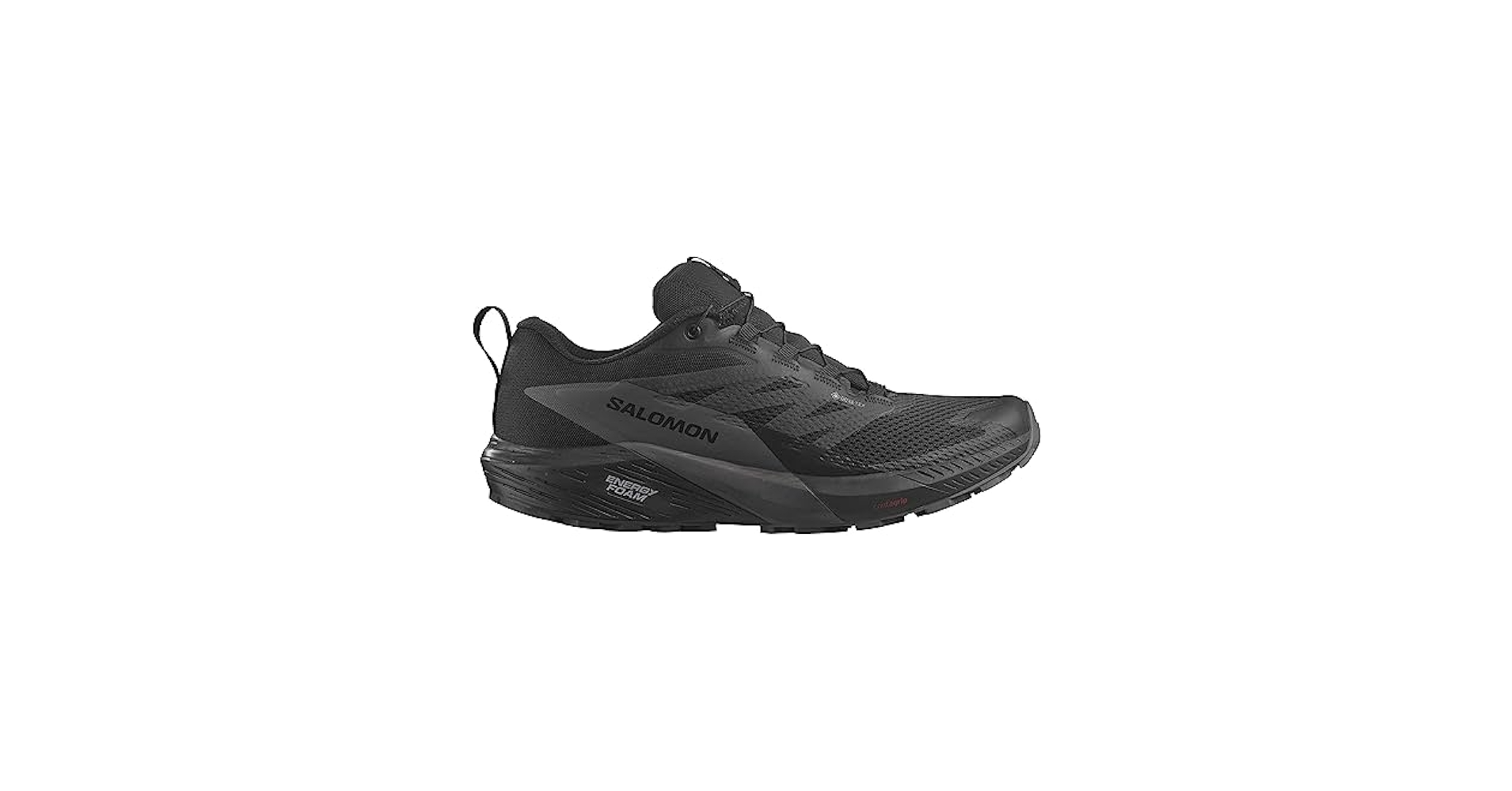 Amazon | [サロモン] SENSE RIDE 5 GORE-TEX L47216300