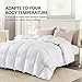 Globon Winter White Goose Down Comforter King Size,Down Duvet Insert, 800 Fill Power, 420 Thread Count,Ultra Soft Noiseless Shell with Corner Tabs, White