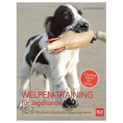 Welpen-Training für Jagdhunde: Das 24-Wochen Ausbildungsprogramm (BLV)