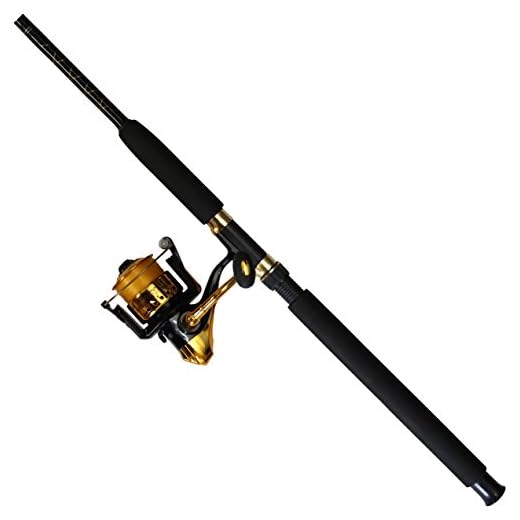 Master Fishing Tackle Master Fishing Roddy Hunter Spinning Combo