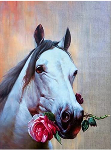 Kit point de croix cheval blanc pour une décoration murale faite main 40x50cm