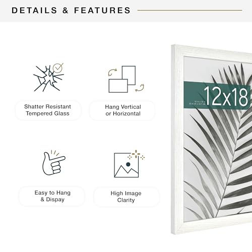 MCS Studio Gallery 12x18 Picture Frame White Woodgrain, Rectangle Photo Frame for Photos, Posters & Art Prints (2-Pack)