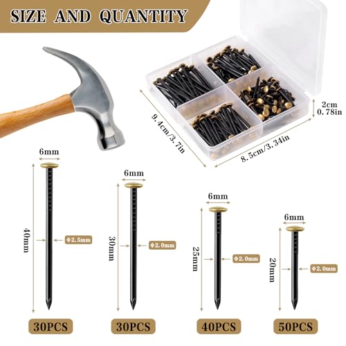 150 Stück Stahlnägel Set (20/25/30/40mm) Rostfreie Stahlnägel Bildernägel mit Box Nägels für Ziegelstein Putz & Holz Rostfreie Stahl nägel Ohne Bohren
