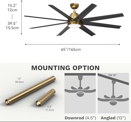 DWVO 65 Inch Ceiling Fans with Light and Remote, 8 Blade Large Ceiling Fan with Quiet Reversible DC Motor, 6-Speed, Dimmable 3 Color Temperatures, Memory Function for Living Room, Dining Room, Bedroom