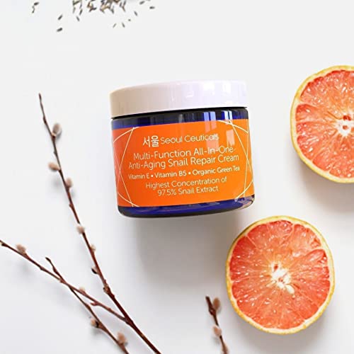 Seoulceuticals Korean Skin Care 97.5% Snail Mucin Repair Cream - Korean Moisturizer Day Night Cream Snail Mucin Extract - All In One Recovery Power For The Most Effective K Beauty Routine - 2Oz #TOP5