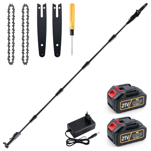 CHANGEMOORE Akku-Hochentaster 21 V, Hochentaster Elektrisch 15 cm Schwertlänge, 10 m/s Kettengeschwindigkeit, 4,25 kg, 2 Ketten, 2,65m Stange, Inklusive 2 Batterien und Ladegerät