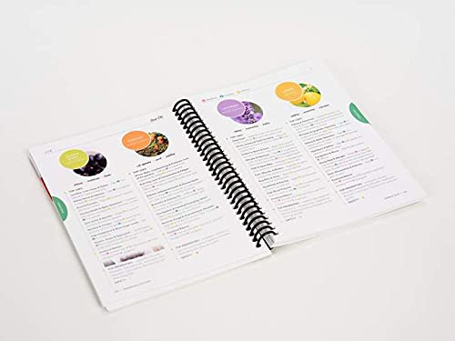 The Essential Basics - 6th Edition - the Ultima... 1532384114 Book Cover