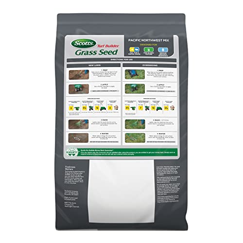 The 30 Best Summer Grass Seed of 2024 [Verified] Cherry Picks