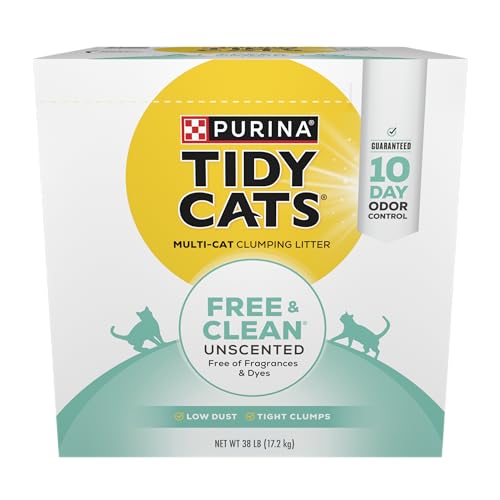 Top 10 Urine Clumping Cat Litter of 2022 Katynel