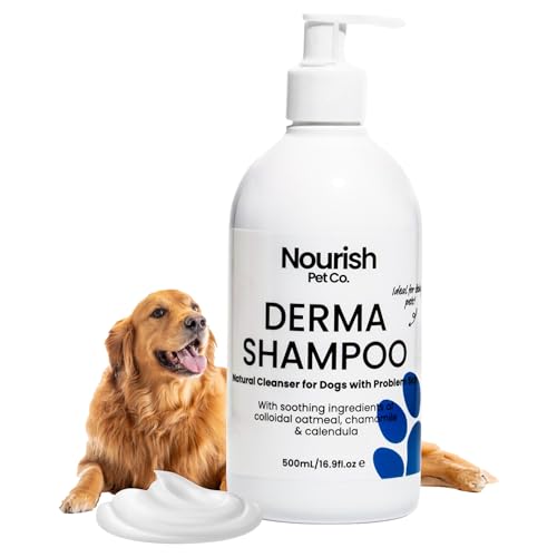 pets dog health best dog shampoo allergies