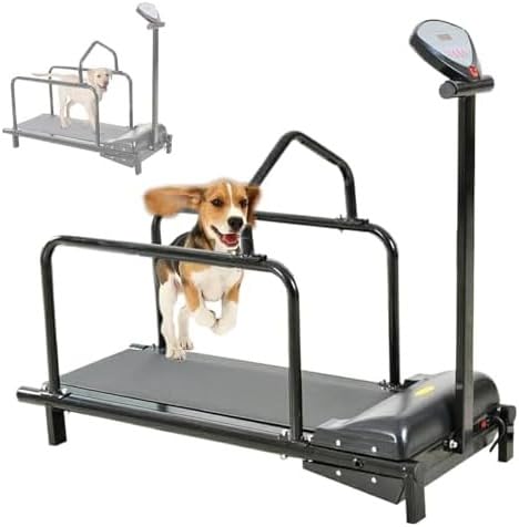 Hundelaufband für große Hunde mit Anzeigebildschirm, Dogpacer-Laufband, Lauftraining Gerät für Hunde im Innen- und Außenbereich, 80 kg/176 lbs Tragkraft