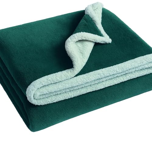 Image of VAS COLLECTIONS Premium Sherpa Flannel Blanket | 460 GSM Ultra-Soft Plush Heavyweight Blanket | Warm & Cozy Winter Comforter for Bedroom - (Grren, 58x88 Inches, Single (2300 g))