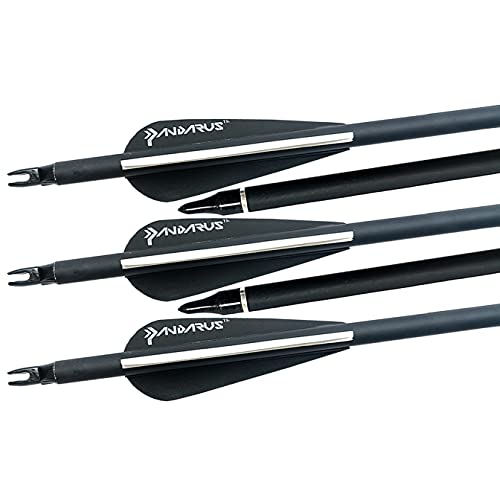 The 30 Best Archery Hunting Arrows of 2024 [Verified] Cherry Picks