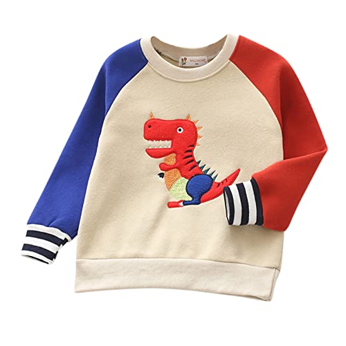EnJoCho 2-7 YearsKids Childr Toddler Boys Girls Cute Cartoon Long Sleeve Patchwork Striped Thick Pullover Tech Hoodie Boys