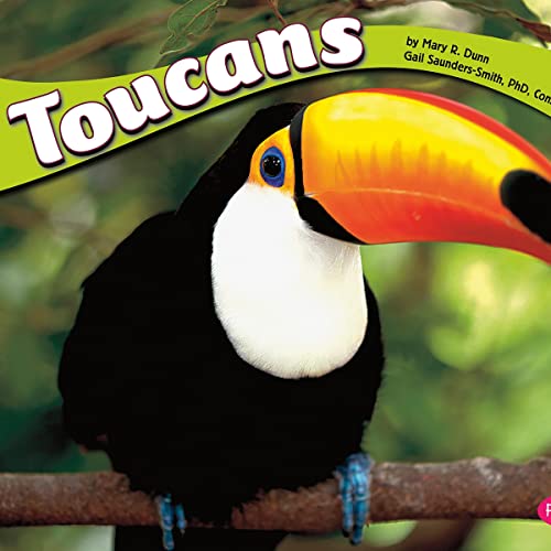 Toucans by Mary R. Dunn, Anne Hobbs episode artwork