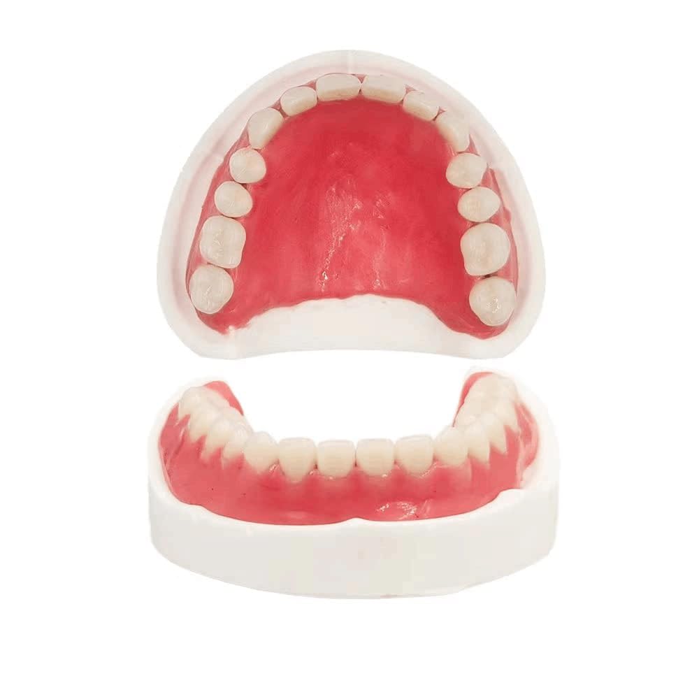 Fake Teeth-Do It Yourself Denture-Top and Bottom Temporary Teeth, Easy and Convenient, Common to All situations
