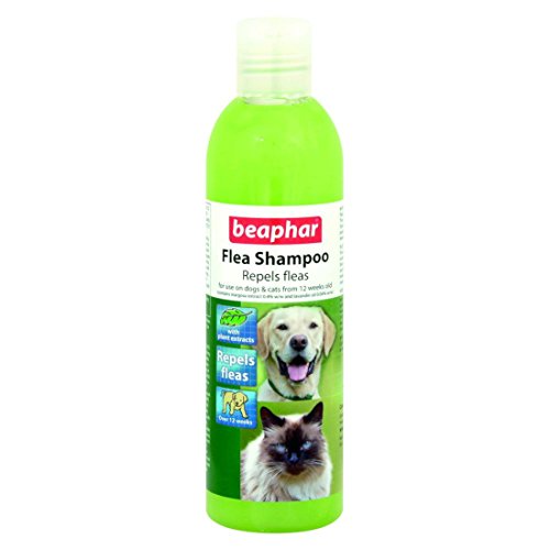 Beaphar gato y un perro pulgas repelente Champú 250 ml (Pack de 6)