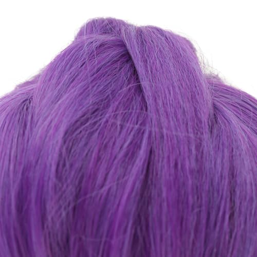 Image of Purple Braid Wigs Women Long Purple Wig Daily Party Halloween Synthetic Wigs